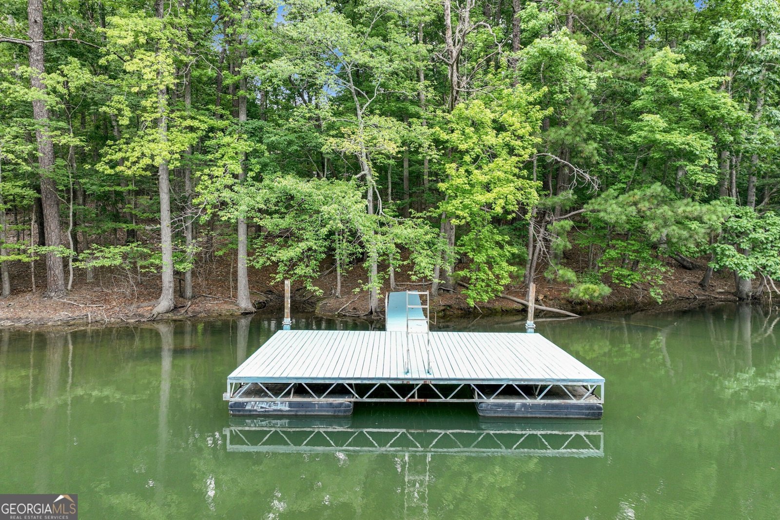 4937 Goddards Ford Road Gainesville - 18