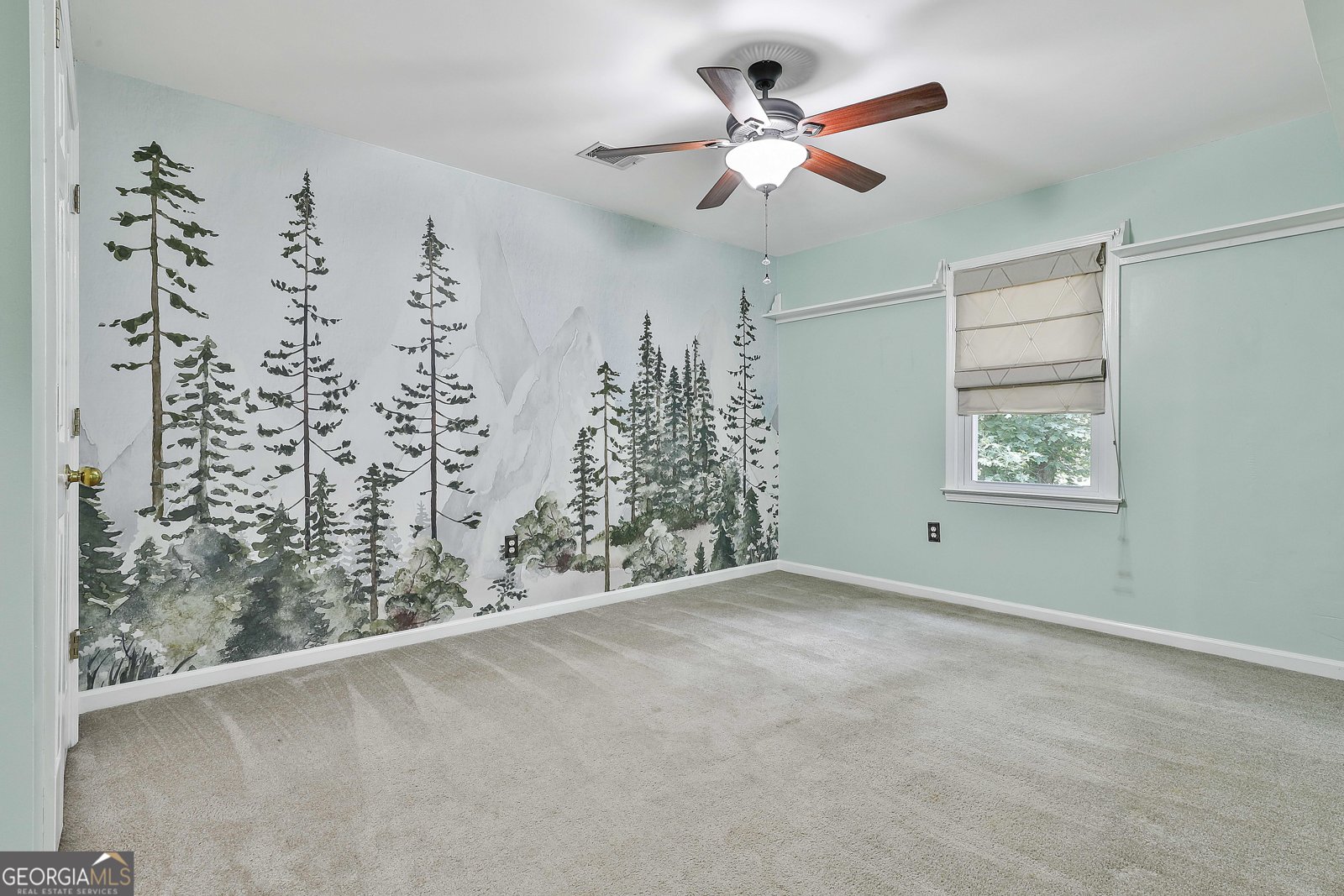 77 Springfield Court Newnan - 30