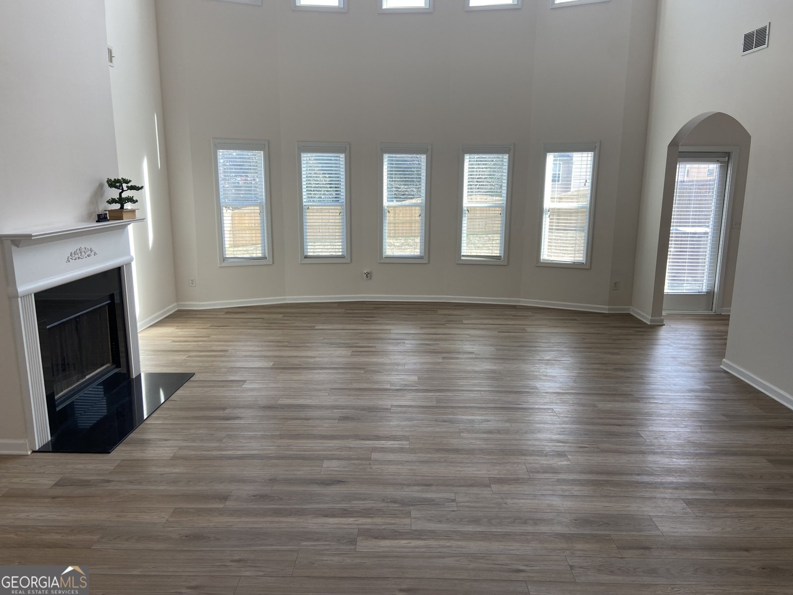 1238 Polk Crossing McDonough - 3