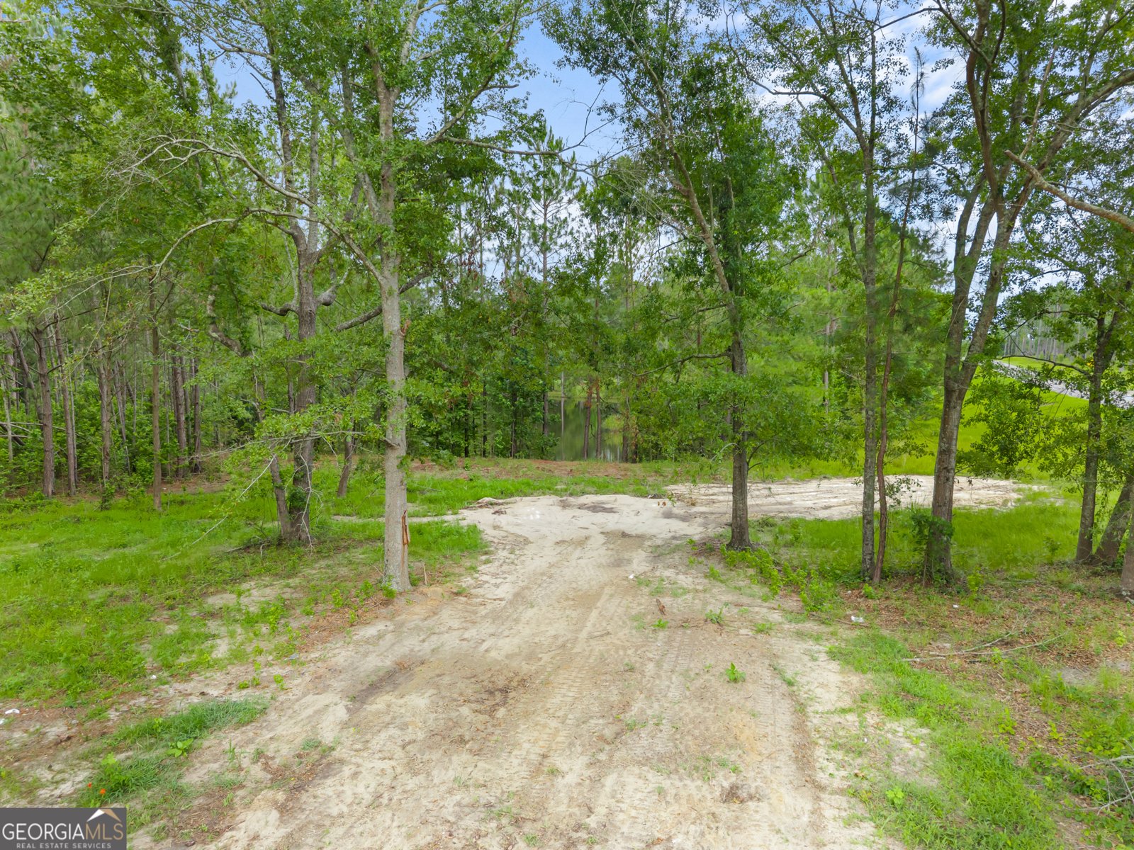 22850 Rosemary Church Road Metter - 18