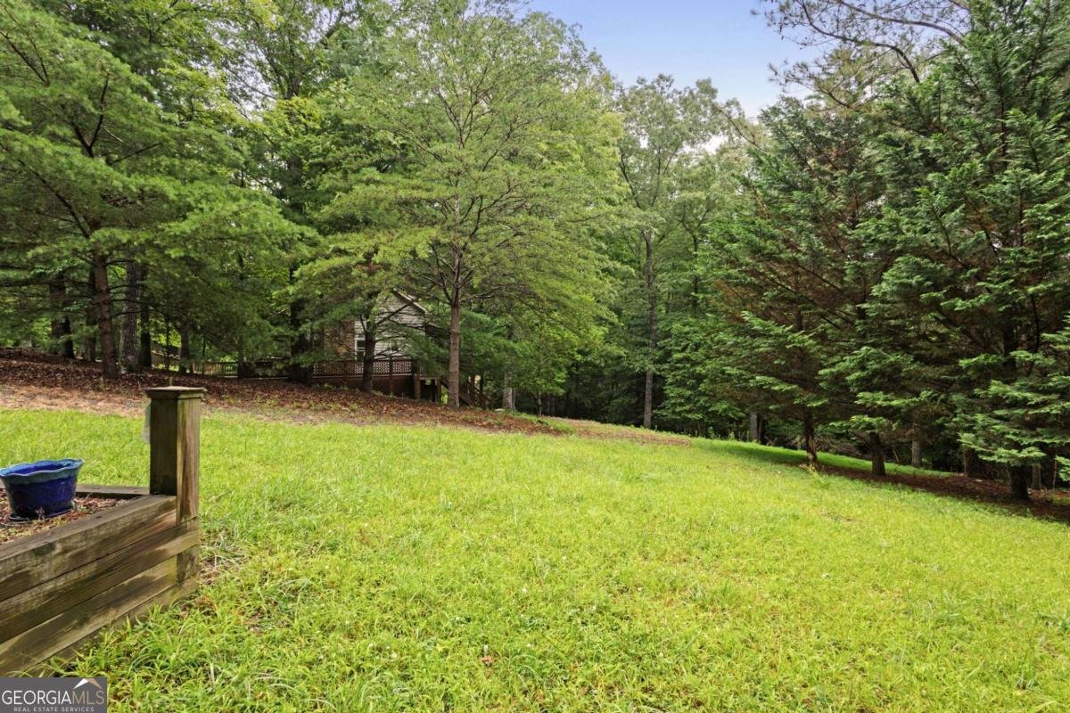 80 Stegall Mill Ridge Ellijay - 15