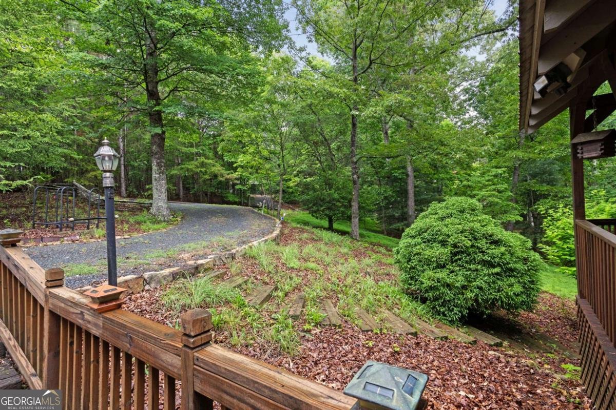 80 Stegall Mill Ridge Ellijay - 6