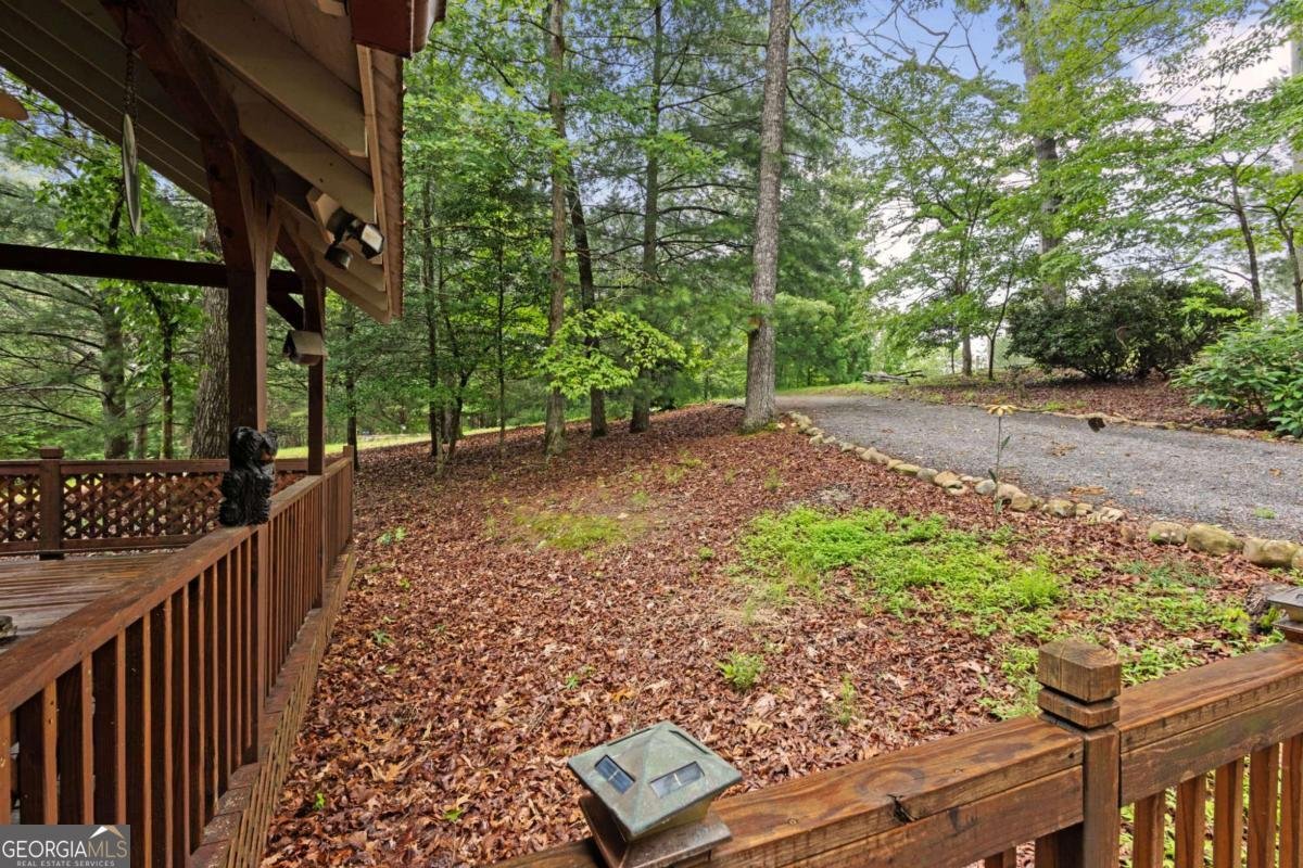 80 Stegall Mill Ridge Ellijay - 7