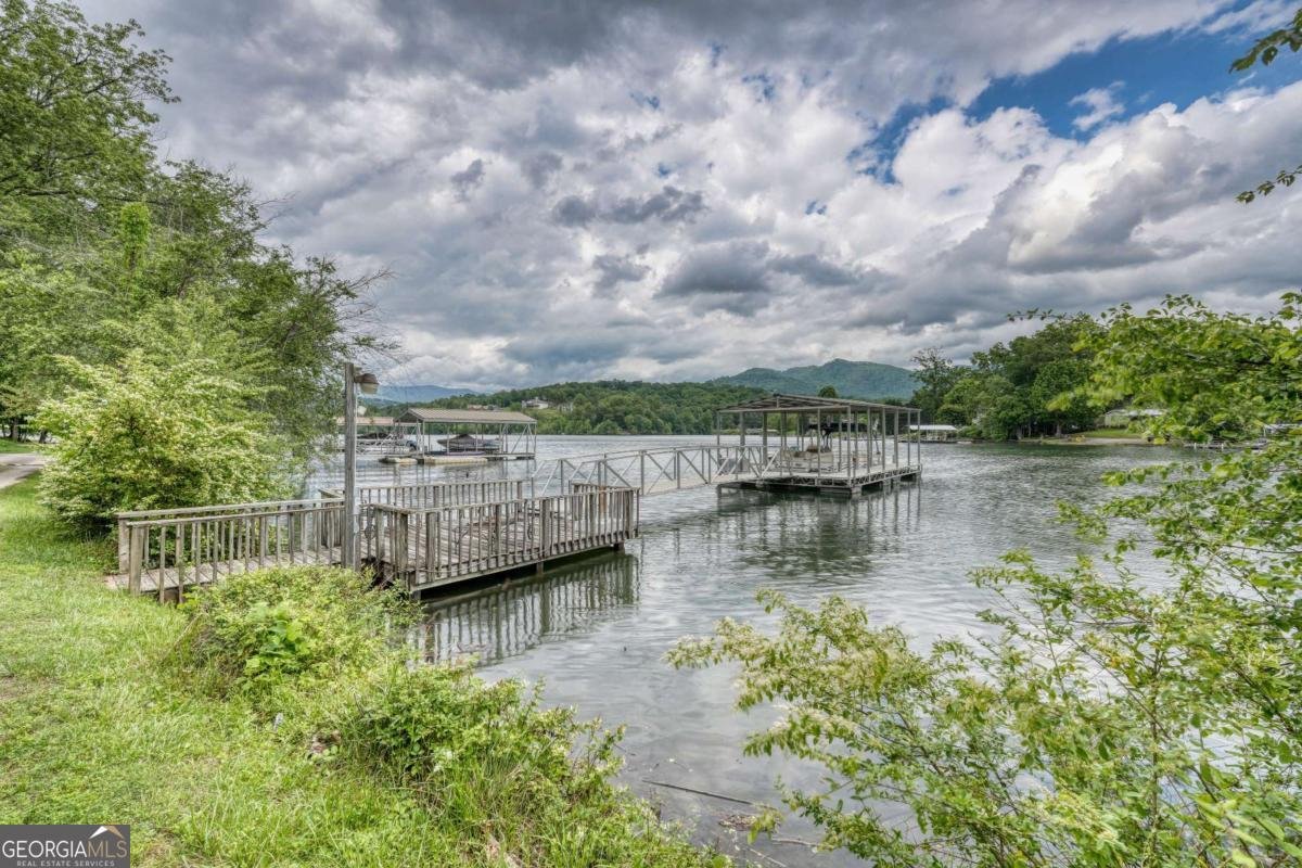 197 Kilpatrick Point Drive Hayesville - 46