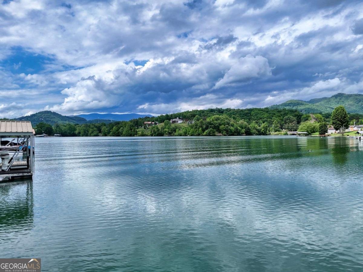 197 Kilpatrick Point Drive Hayesville - 56