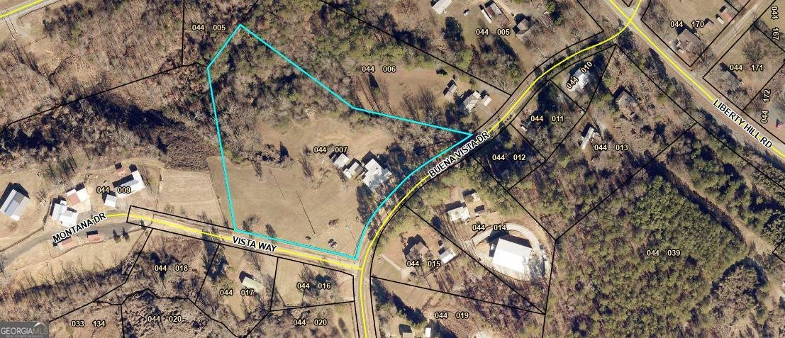 160 160 Buena Vista Drive Eastanollee - 2