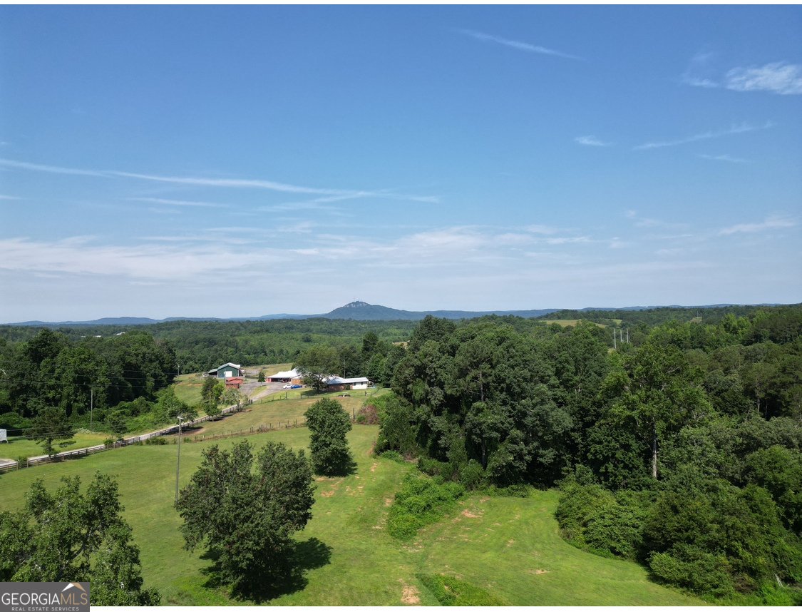 160 Buena Vista Drive Eastanollee - 32