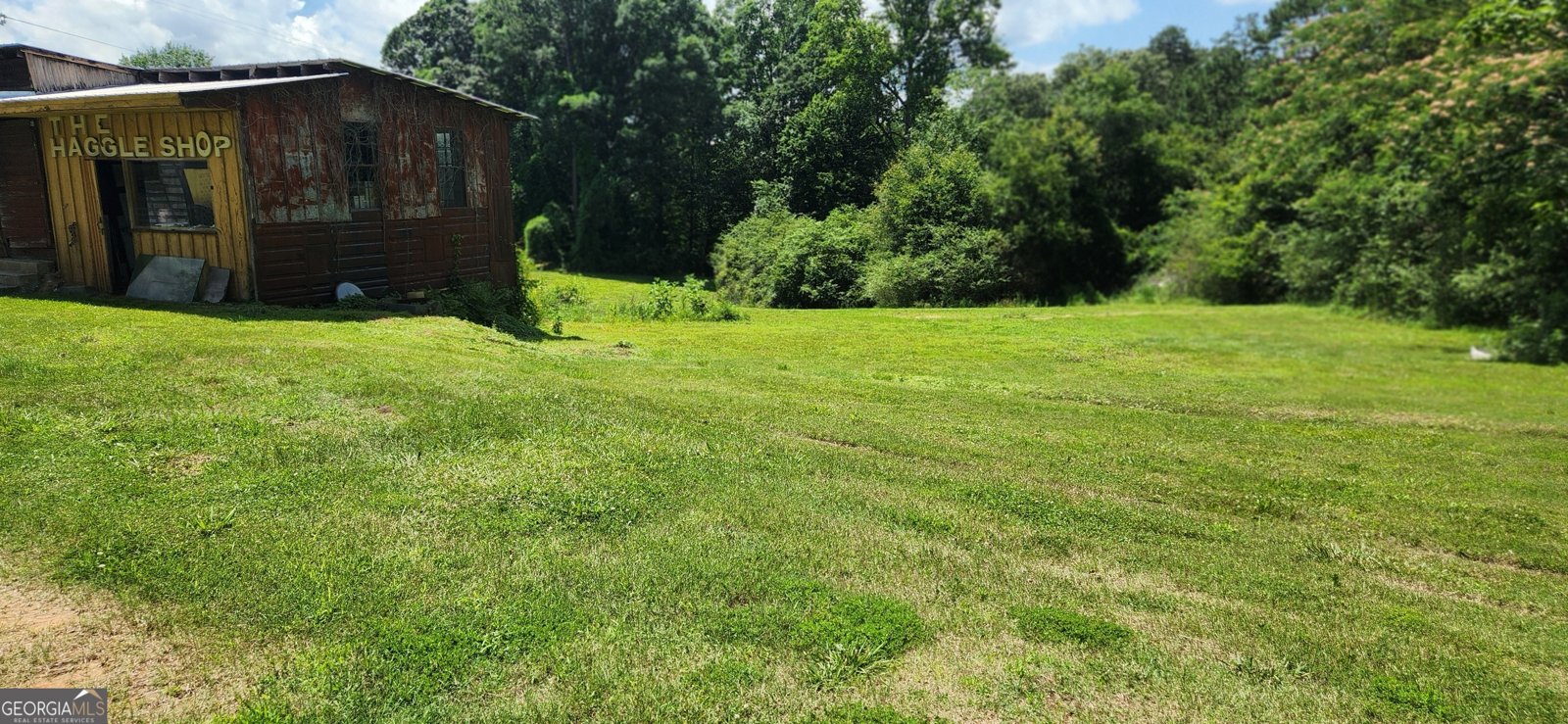 160 160 Buena Vista Drive Eastanollee - 5