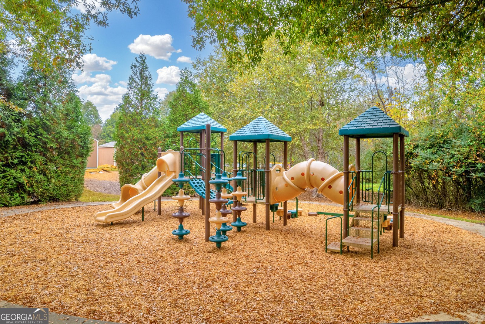 6208 Longleaf Drive Hoschton - 36
