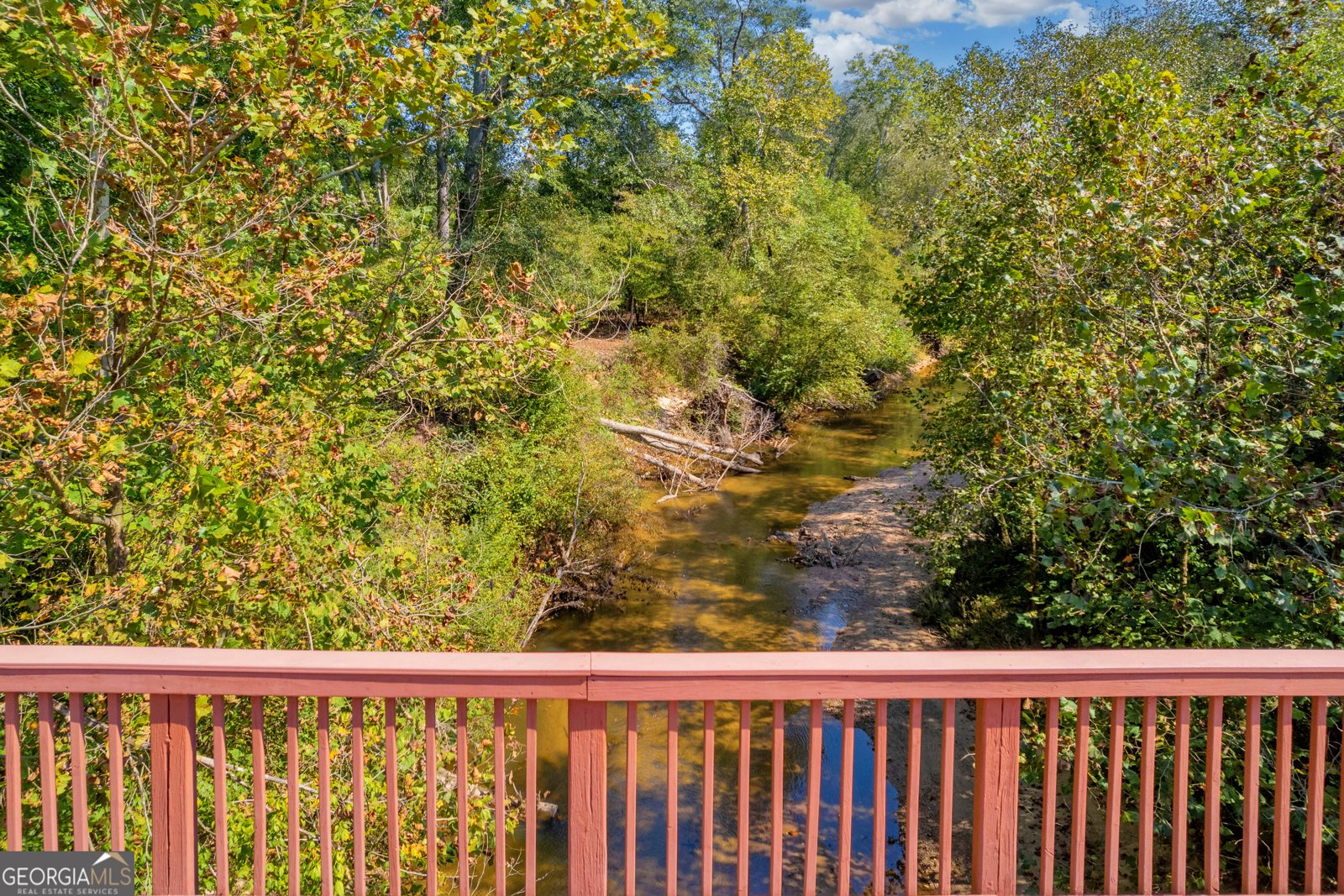6208 Longleaf Drive Hoschton - 40