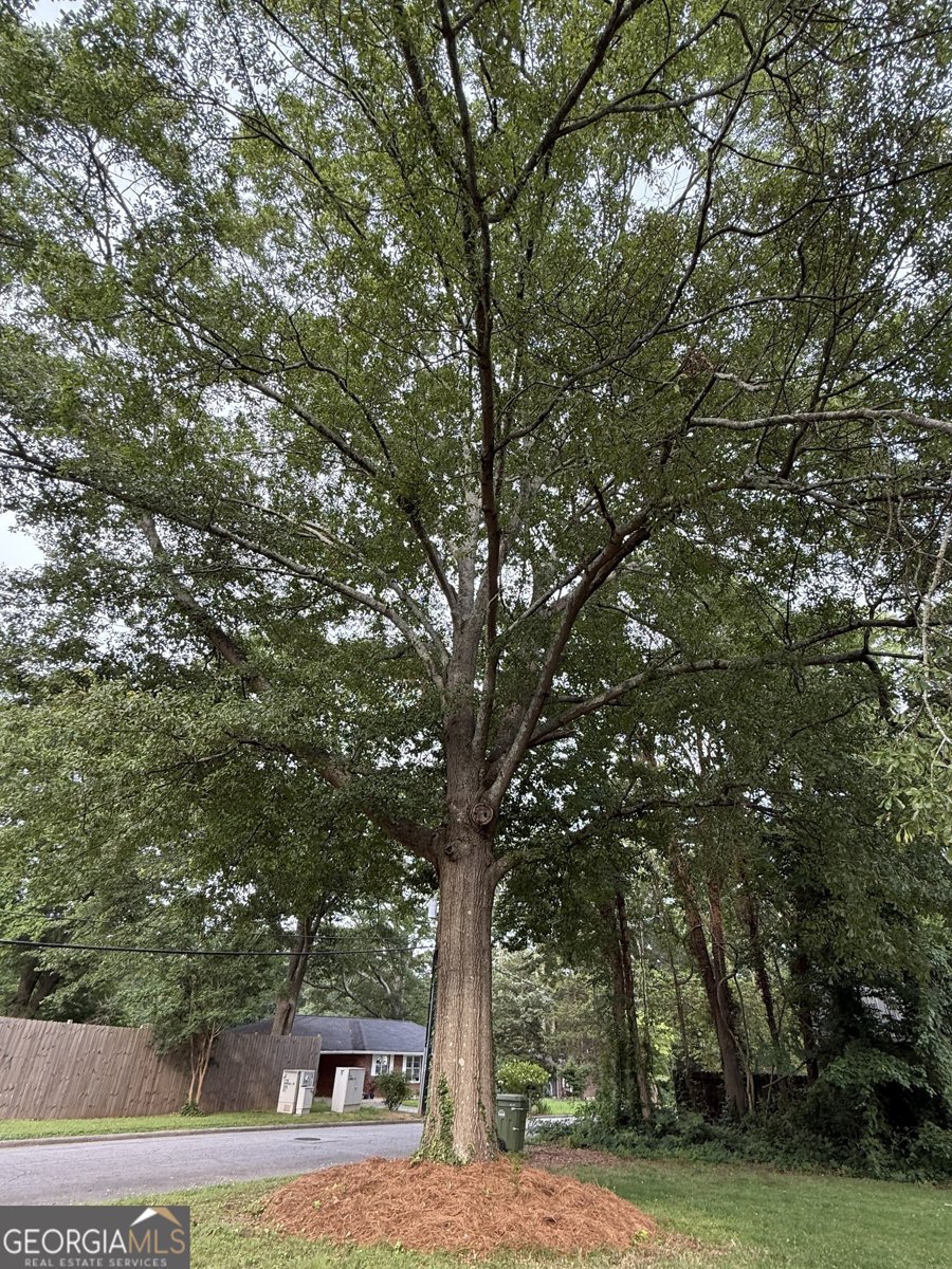 516 Longview Street Carrollton - 28