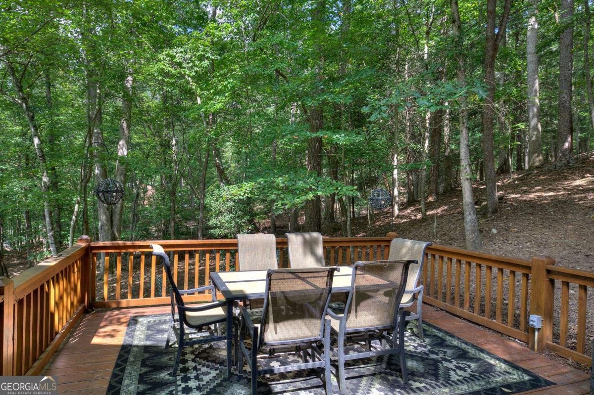 707 Novena Court Ellijay - 11