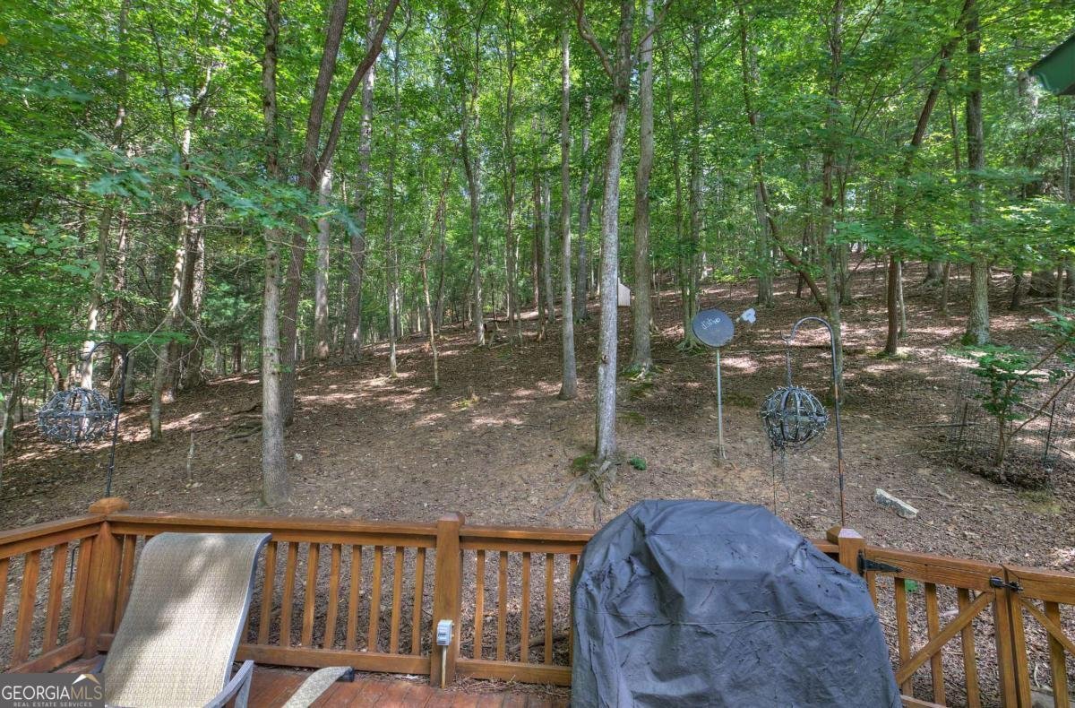 707 Novena Court Ellijay - 13