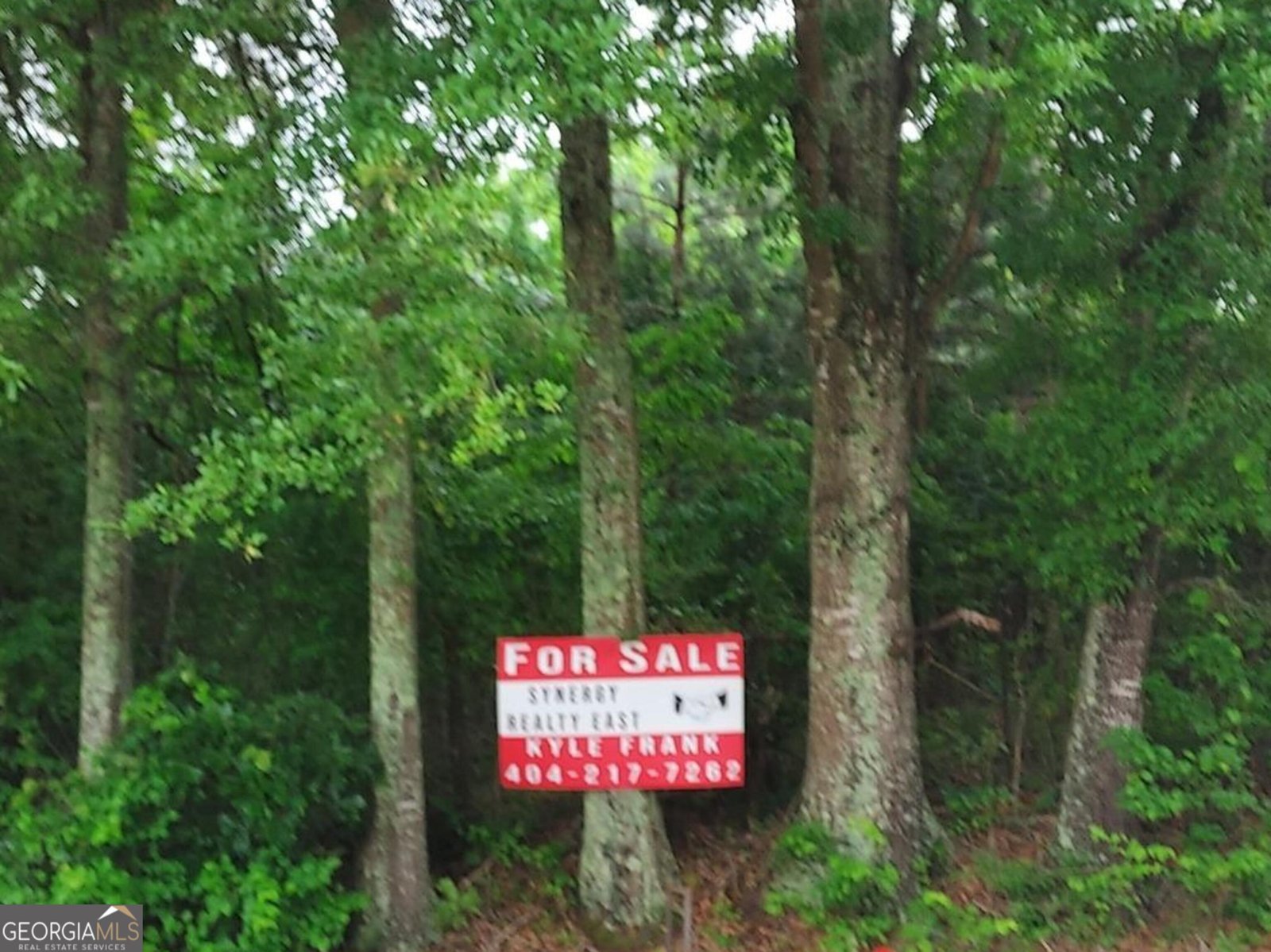 374 Luther Bailey Road Senoia - 4