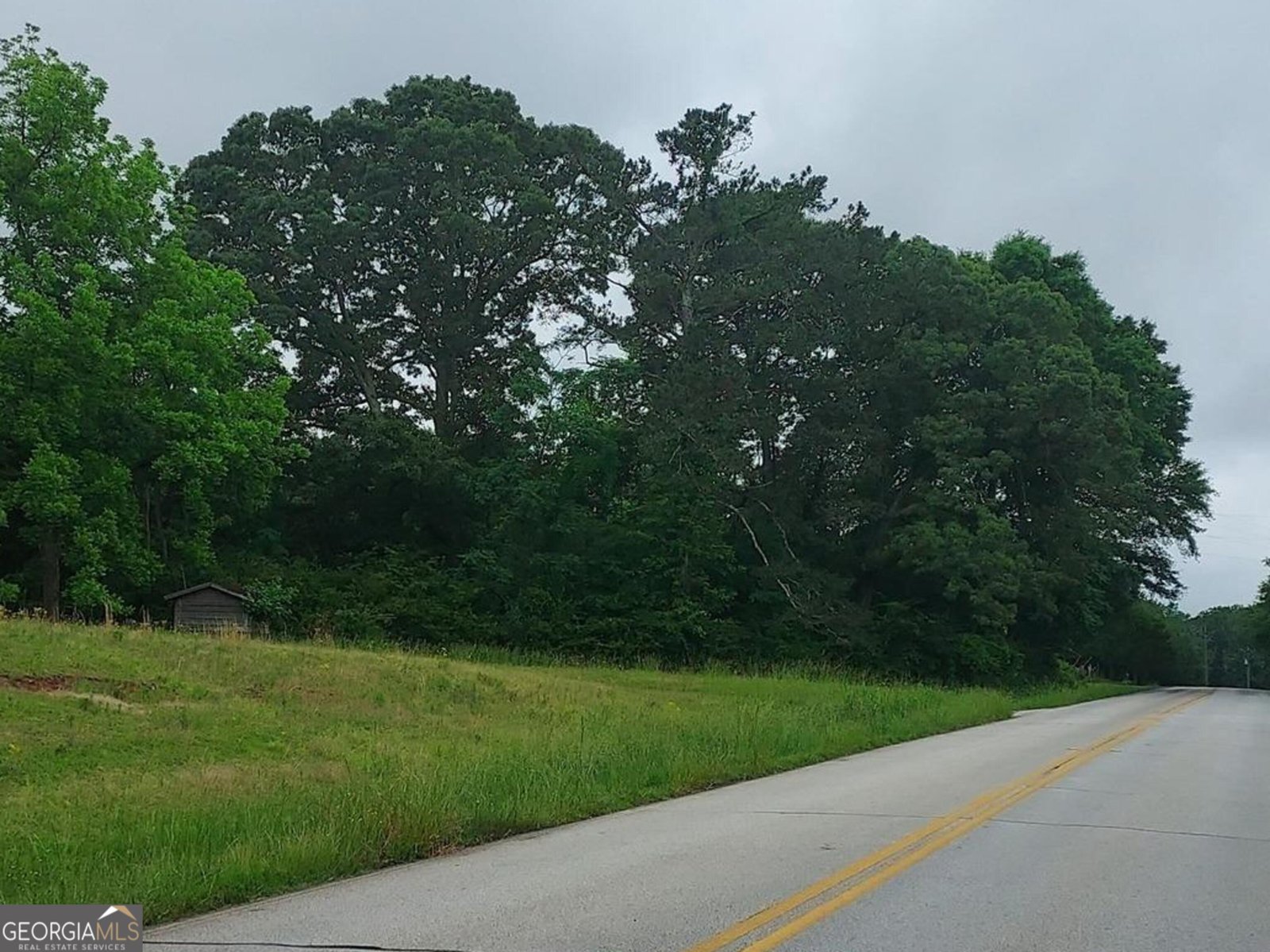 374 Luther Bailey Road Senoia - 5