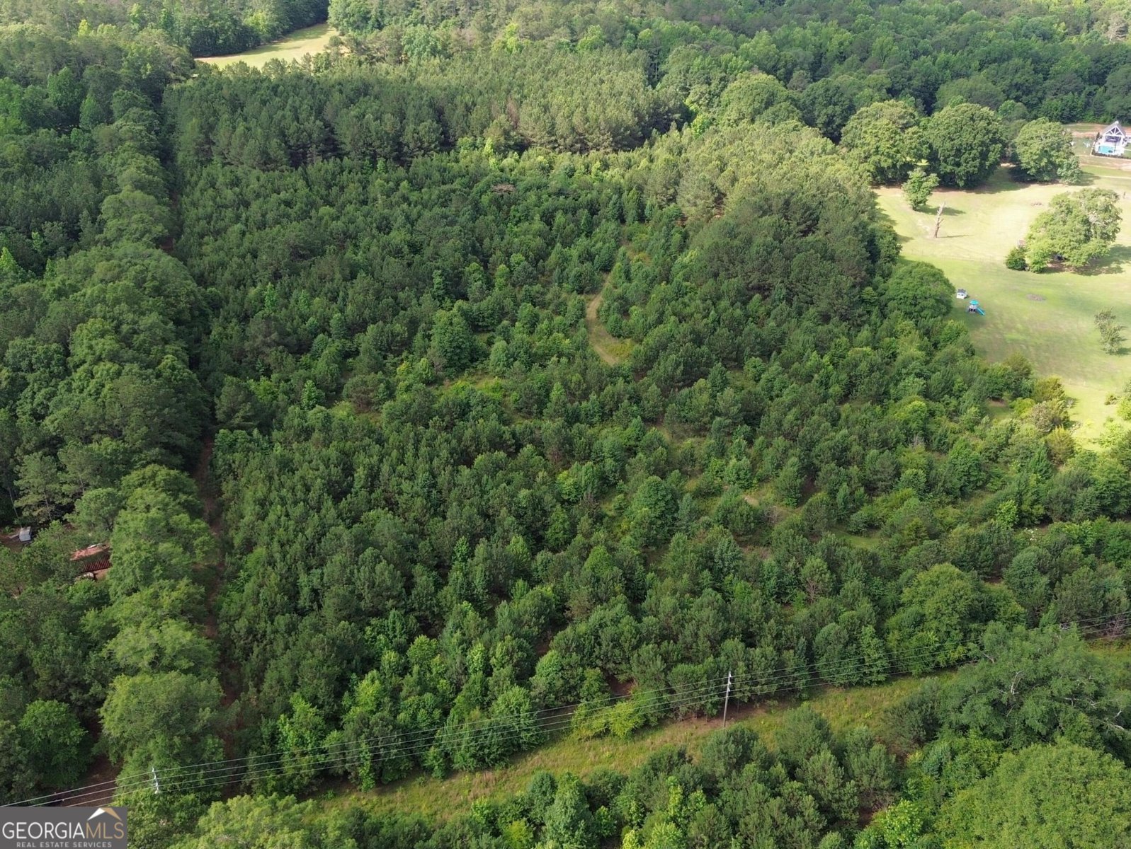 374 Luther Bailey Road Senoia - 6