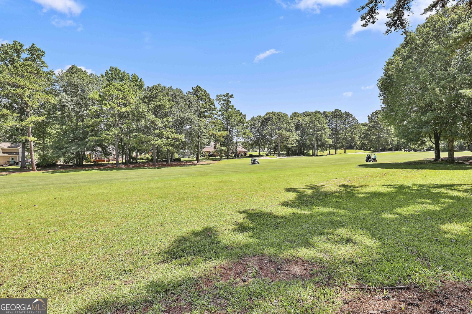 63 Clubview Drive Newnan - 43