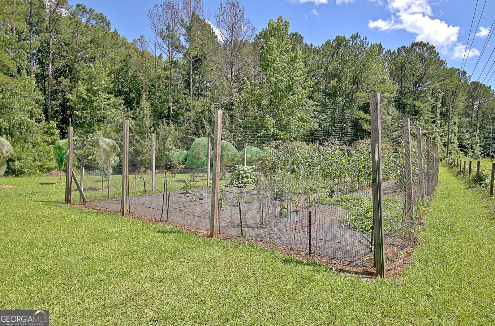 460 Morgan Mill Road Brooks - 18