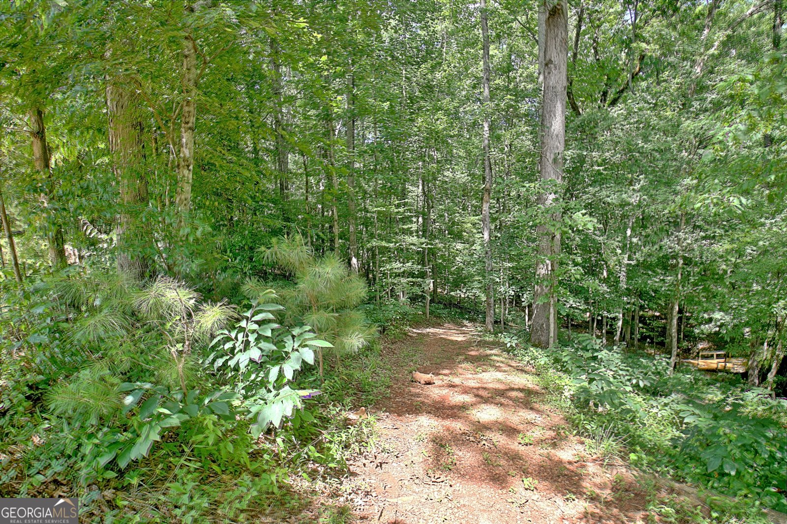 460 Morgan Mill Road Brooks - 19