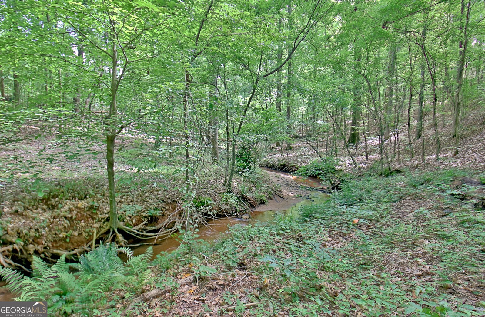 460 Morgan Mill Road Brooks - 21