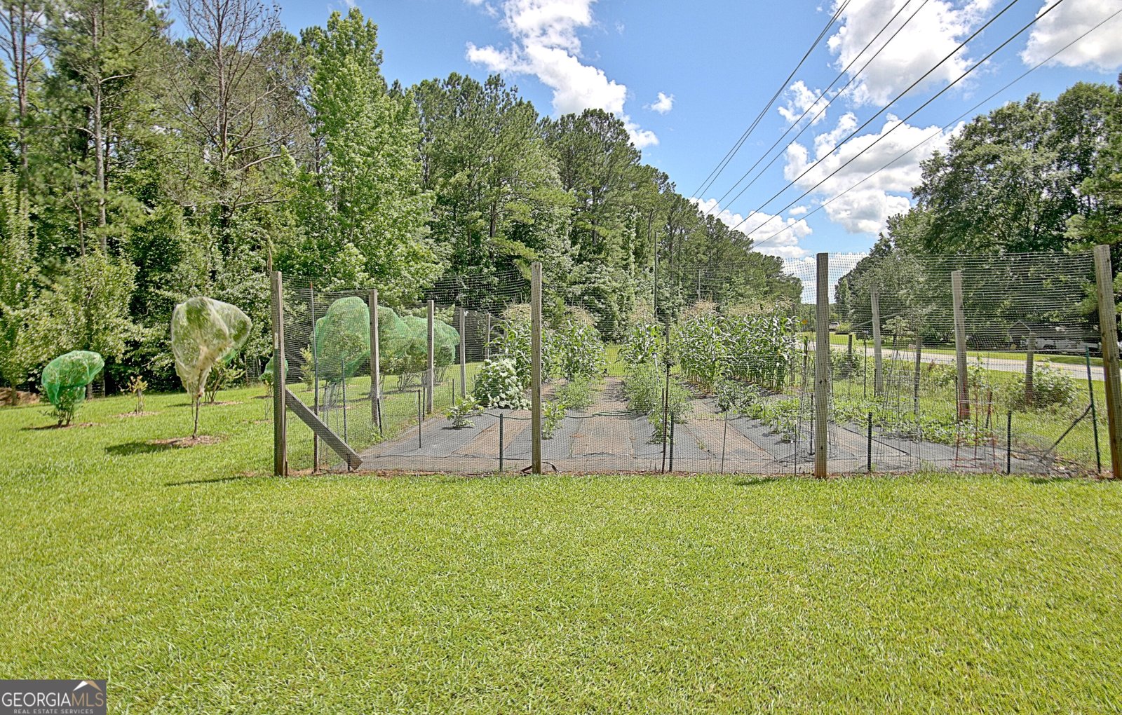 460 Morgan Mill Road Brooks - 3