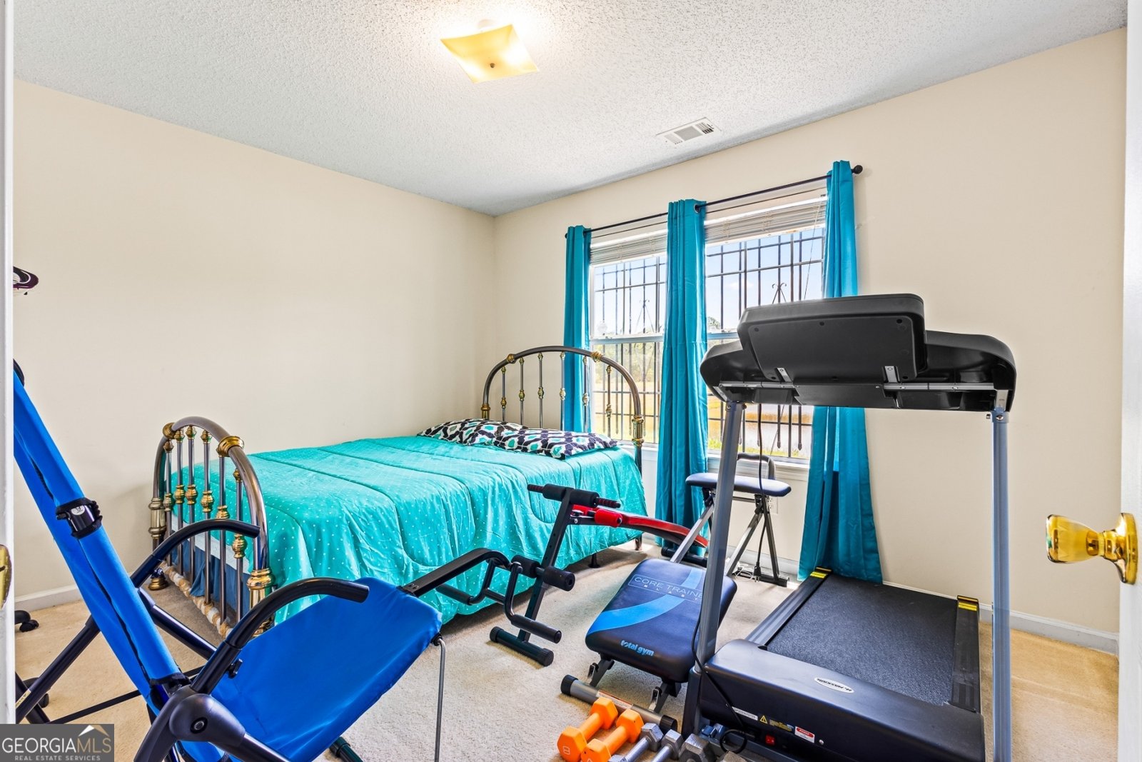 11833 Spring Lake Way Fayetteville - 11