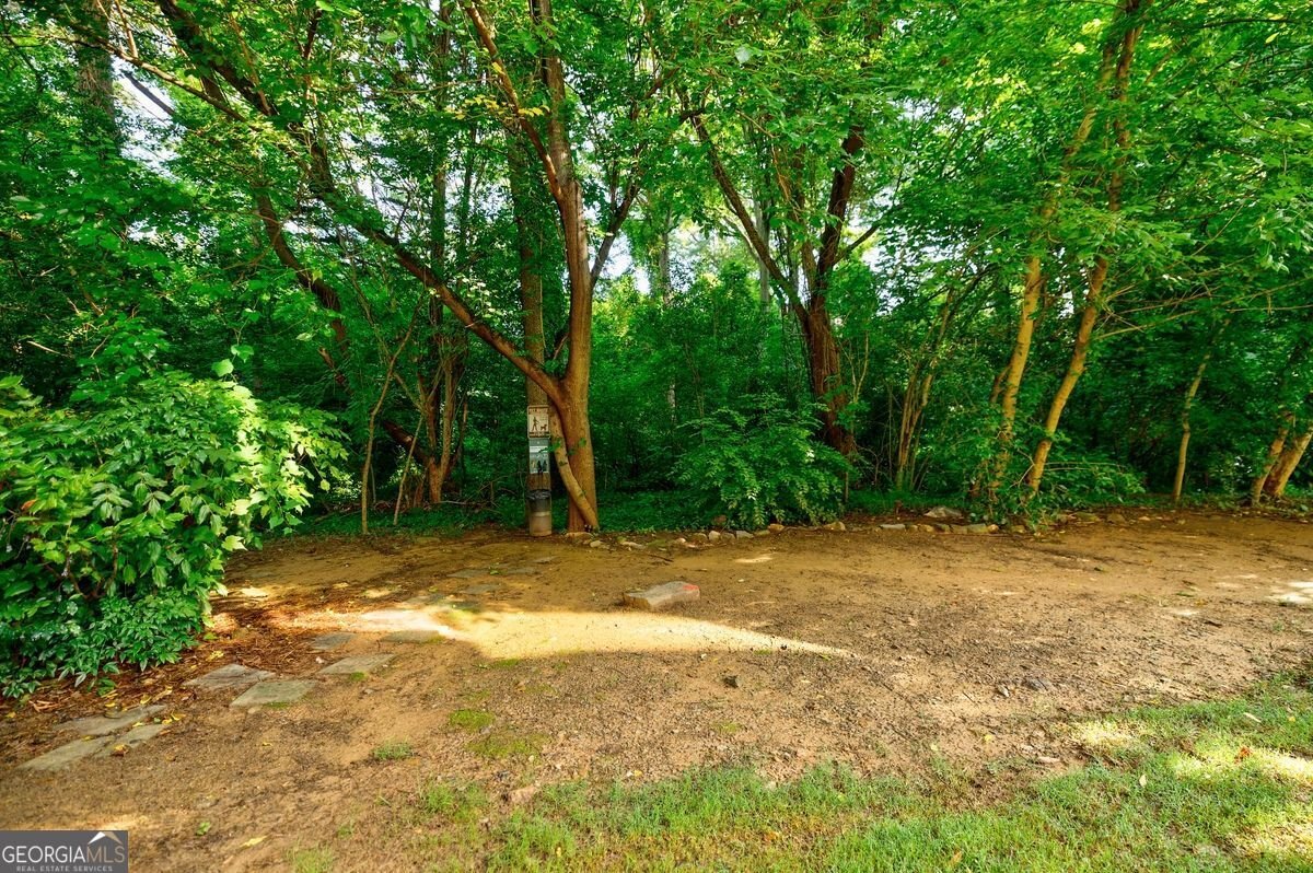 1445 Monroe Drive Atlanta - 31