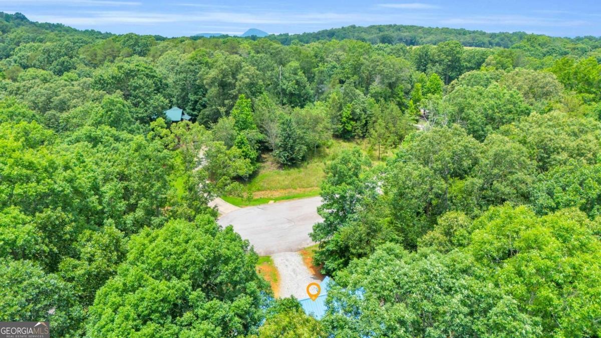 417 Hickory Ridge Drive Cleveland - 48