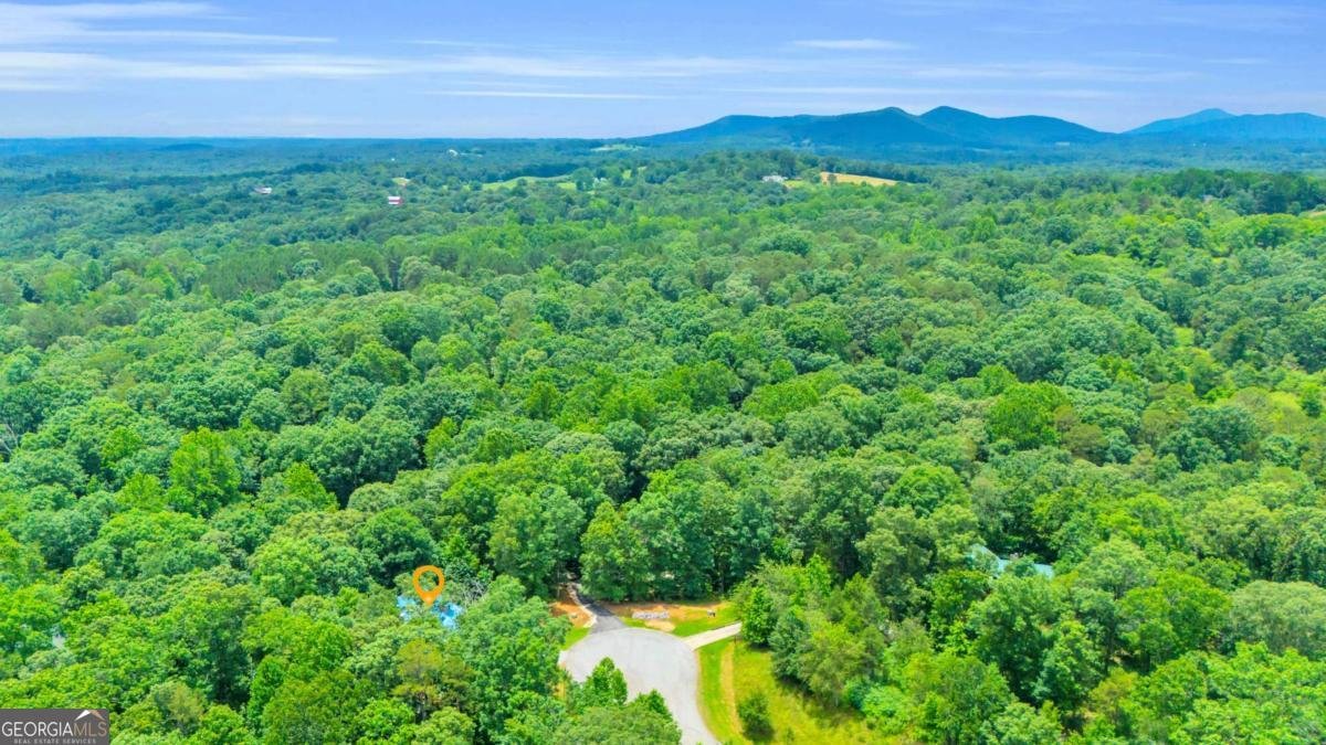 417 Hickory Ridge Drive Cleveland - 50