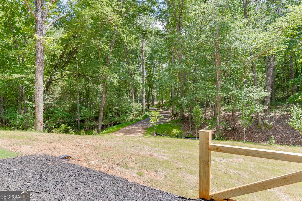 4459 Grady Smith Road Loganville - 24