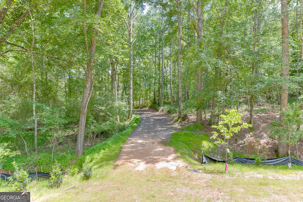 4459 Grady Smith Road Loganville - 25