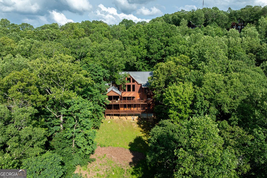 58 Moosilaukee Drive Mineral Bluff - 42