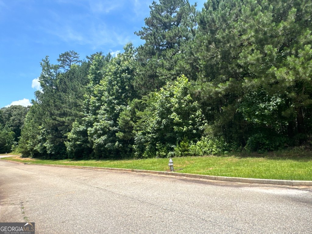 4309 Giverny Boulevard Fairburn - 10