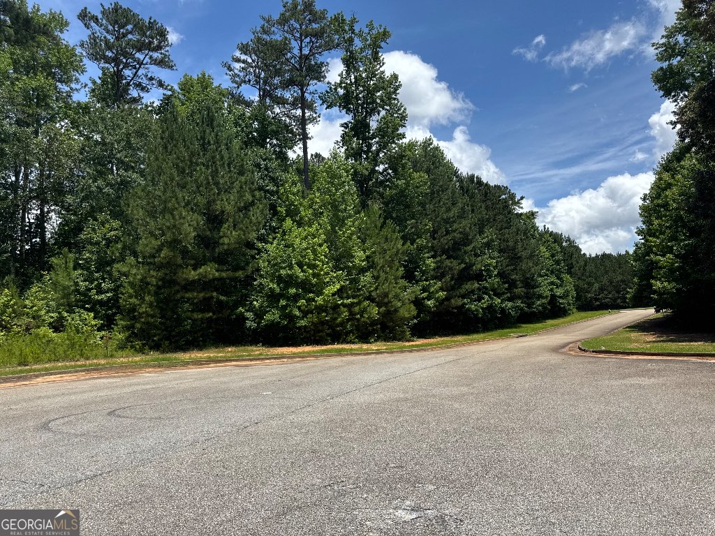 4309 Giverny Boulevard Fairburn - 11