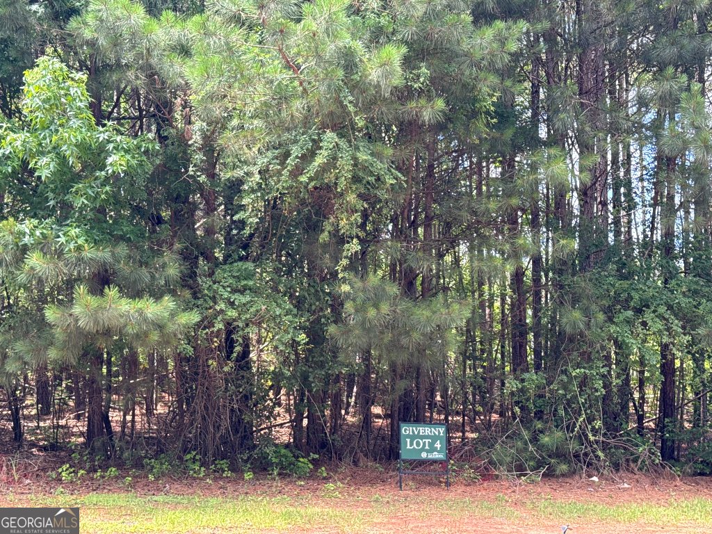 4309 Giverny Boulevard Fairburn - 8