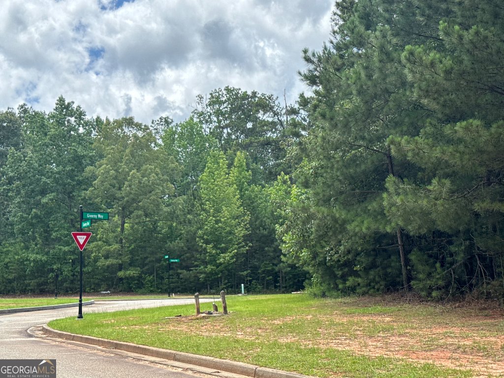 4309 Giverny Boulevard Fairburn - 9