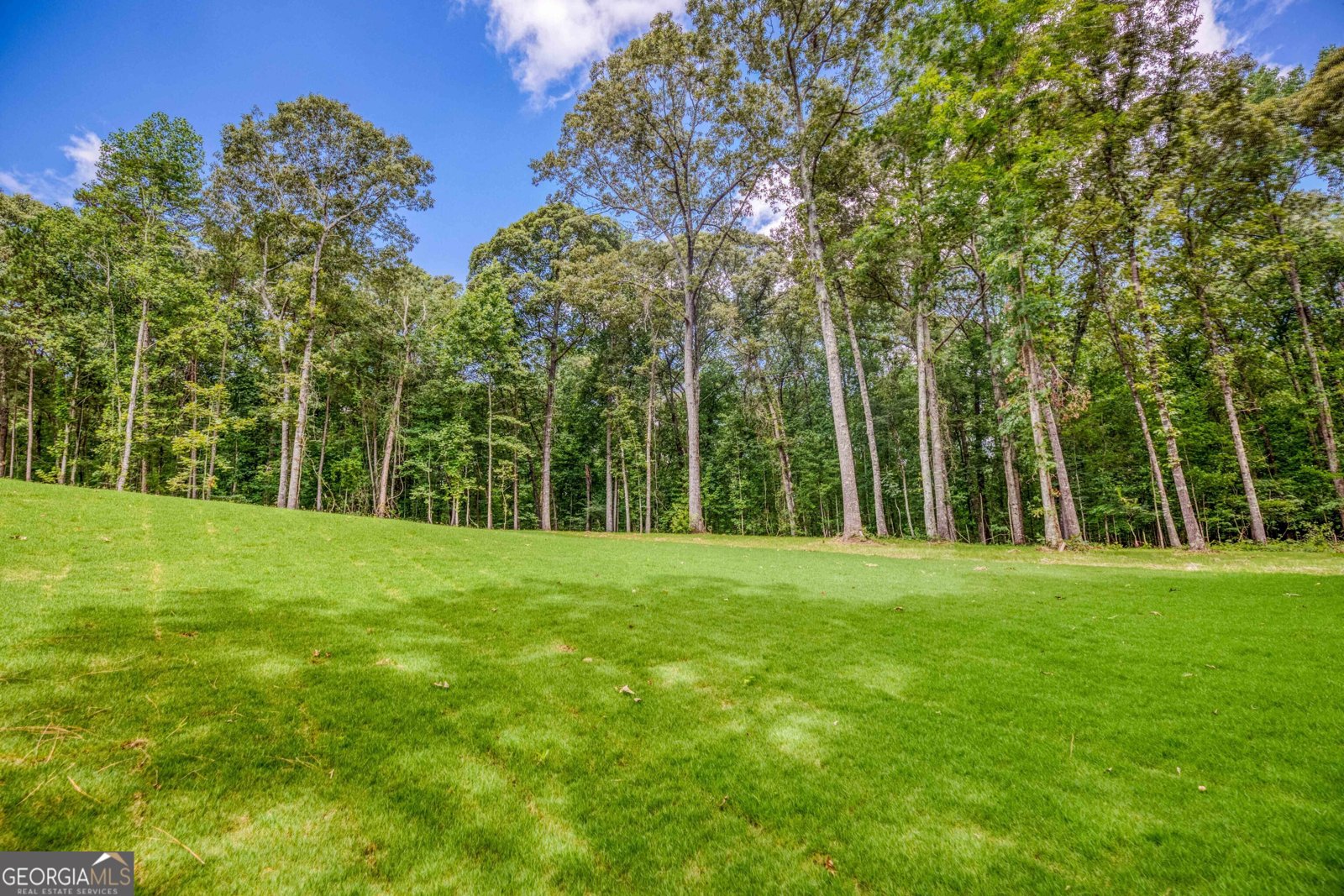 410 Iroquois Court Covington - 26