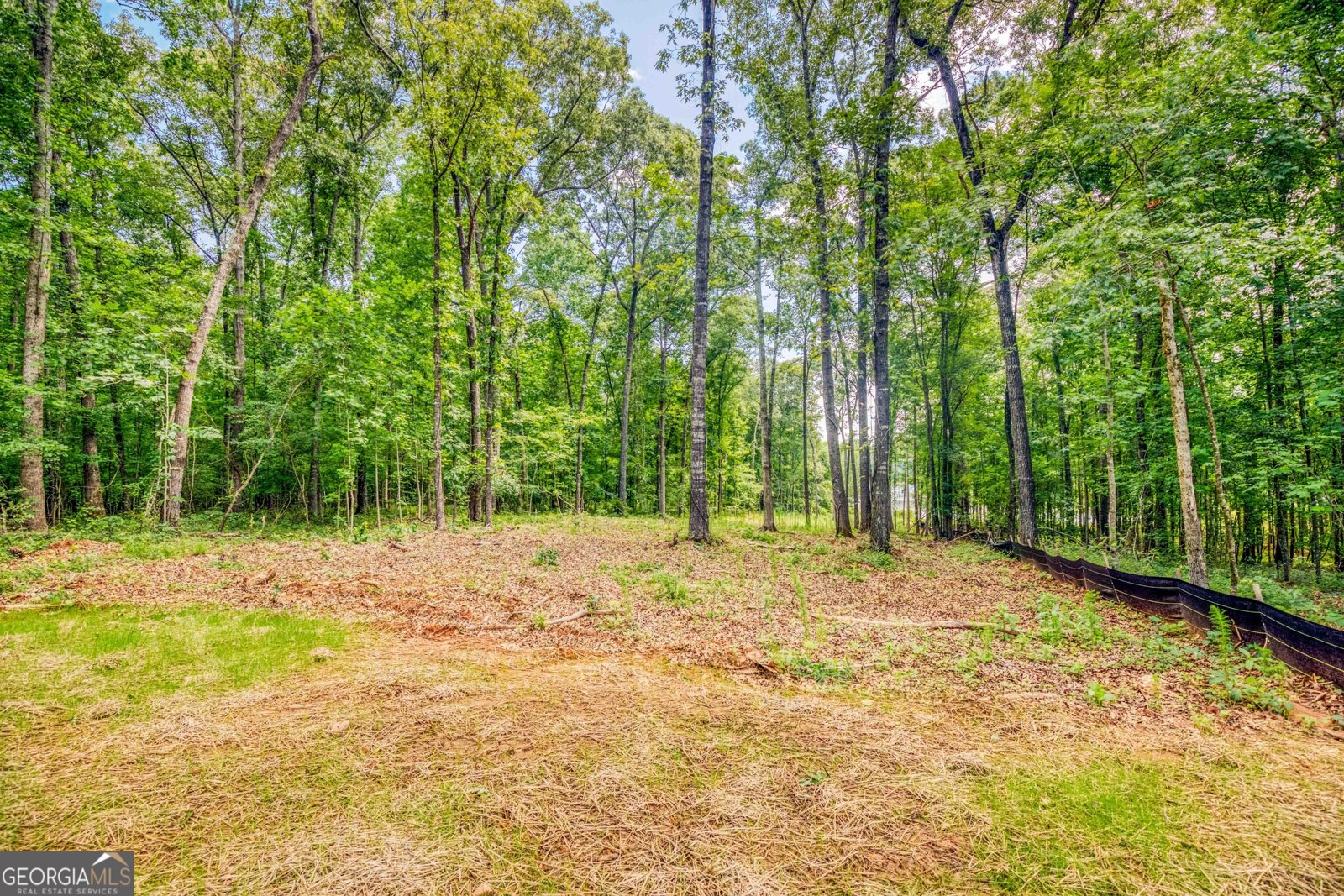 410 Iroquois Court Covington - 27
