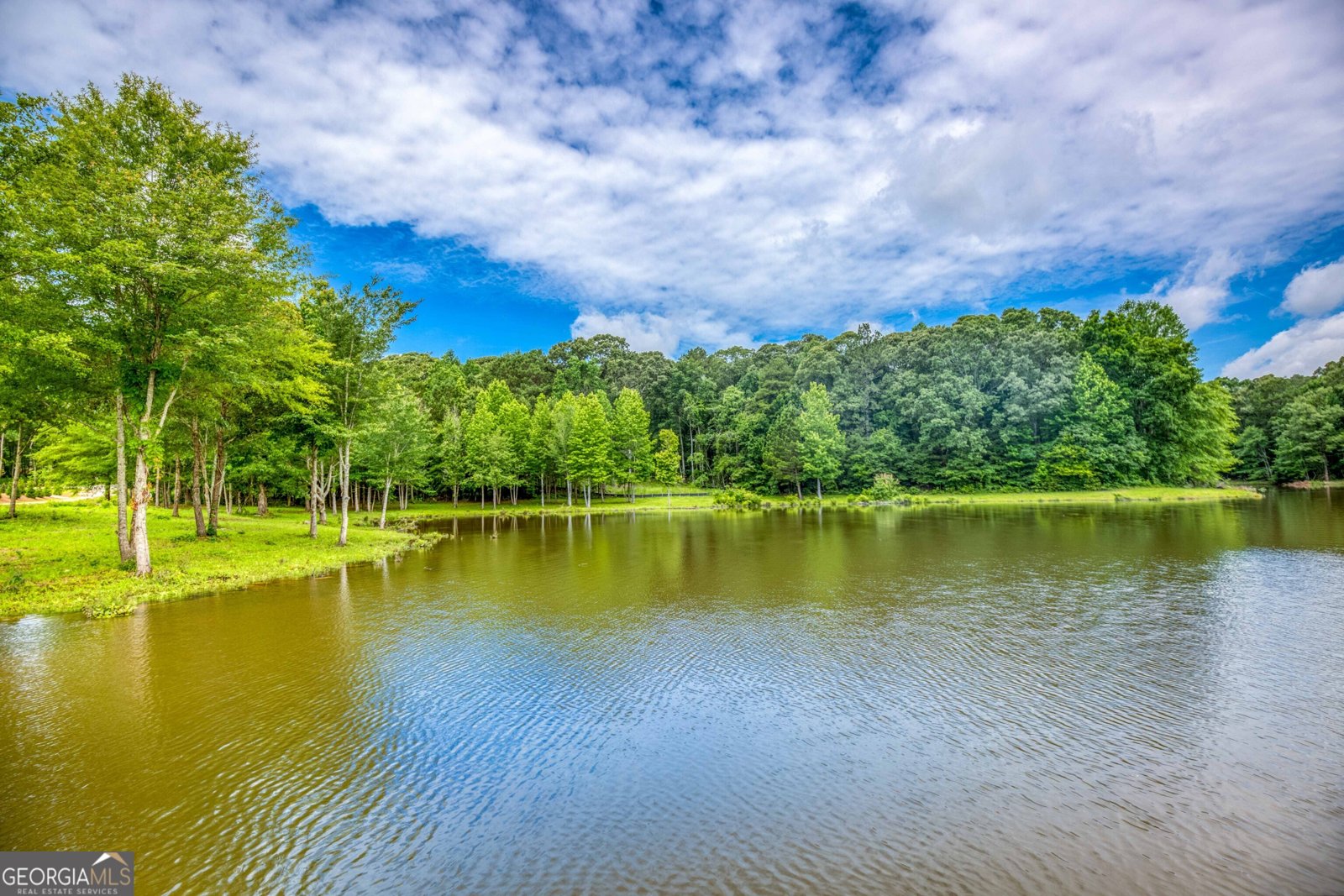 410 Iroquois Court Covington - 31