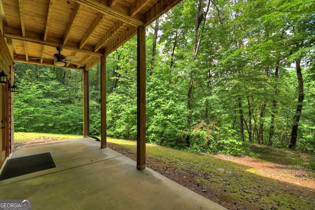 4527 Gates Chapel Road Ellijay - 11