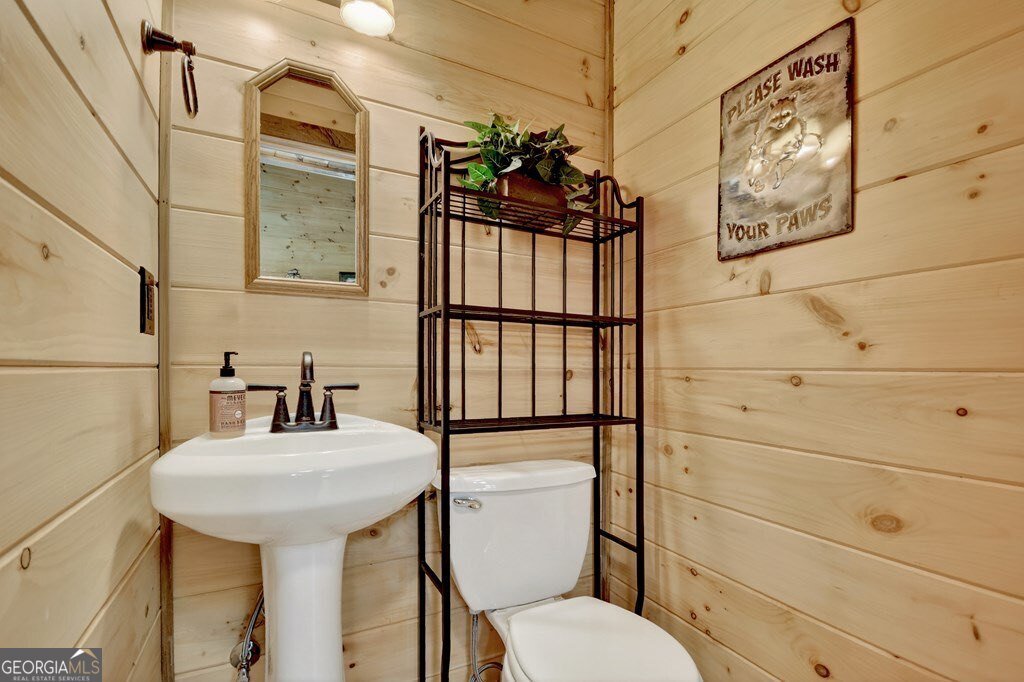 4527 Gates Chapel Road Ellijay - 22