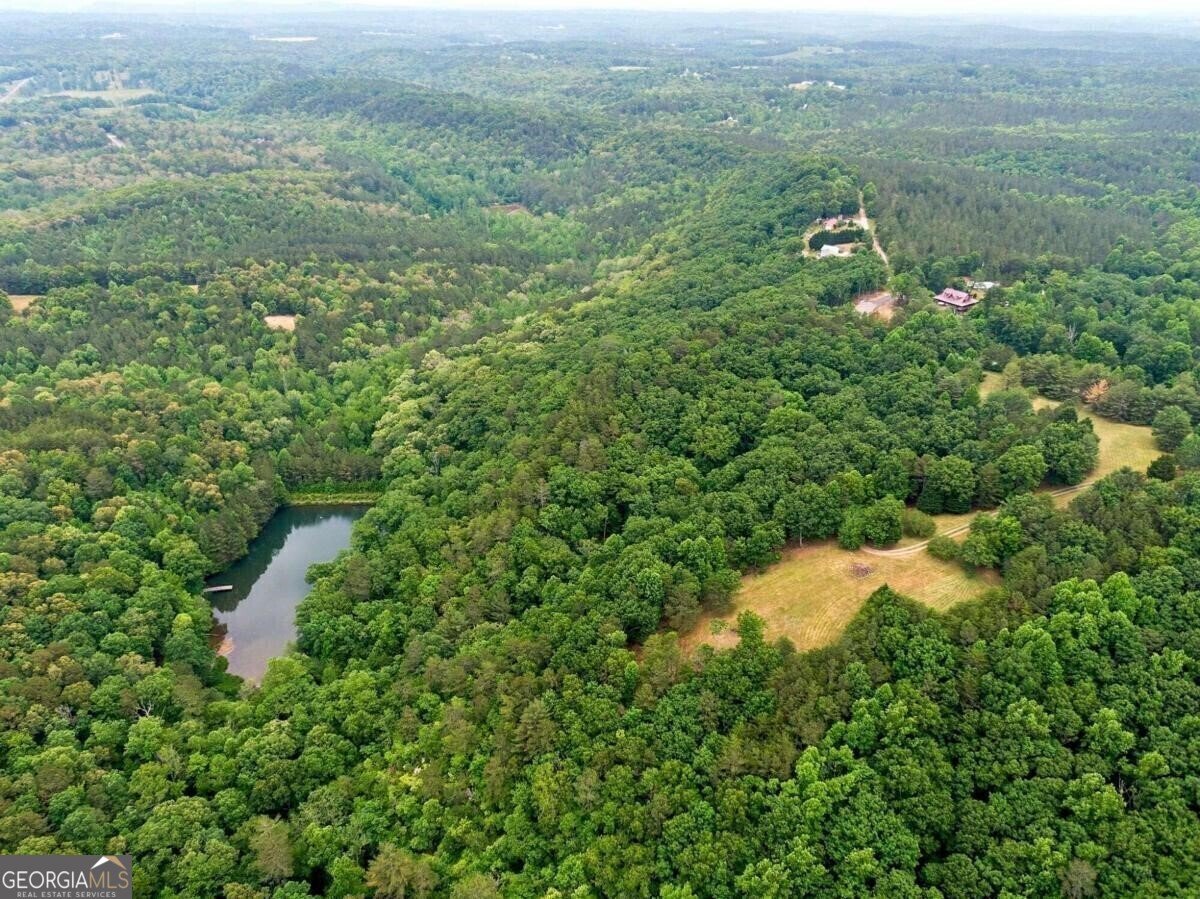 1402 Henderson Mountain Road Jasper - 2