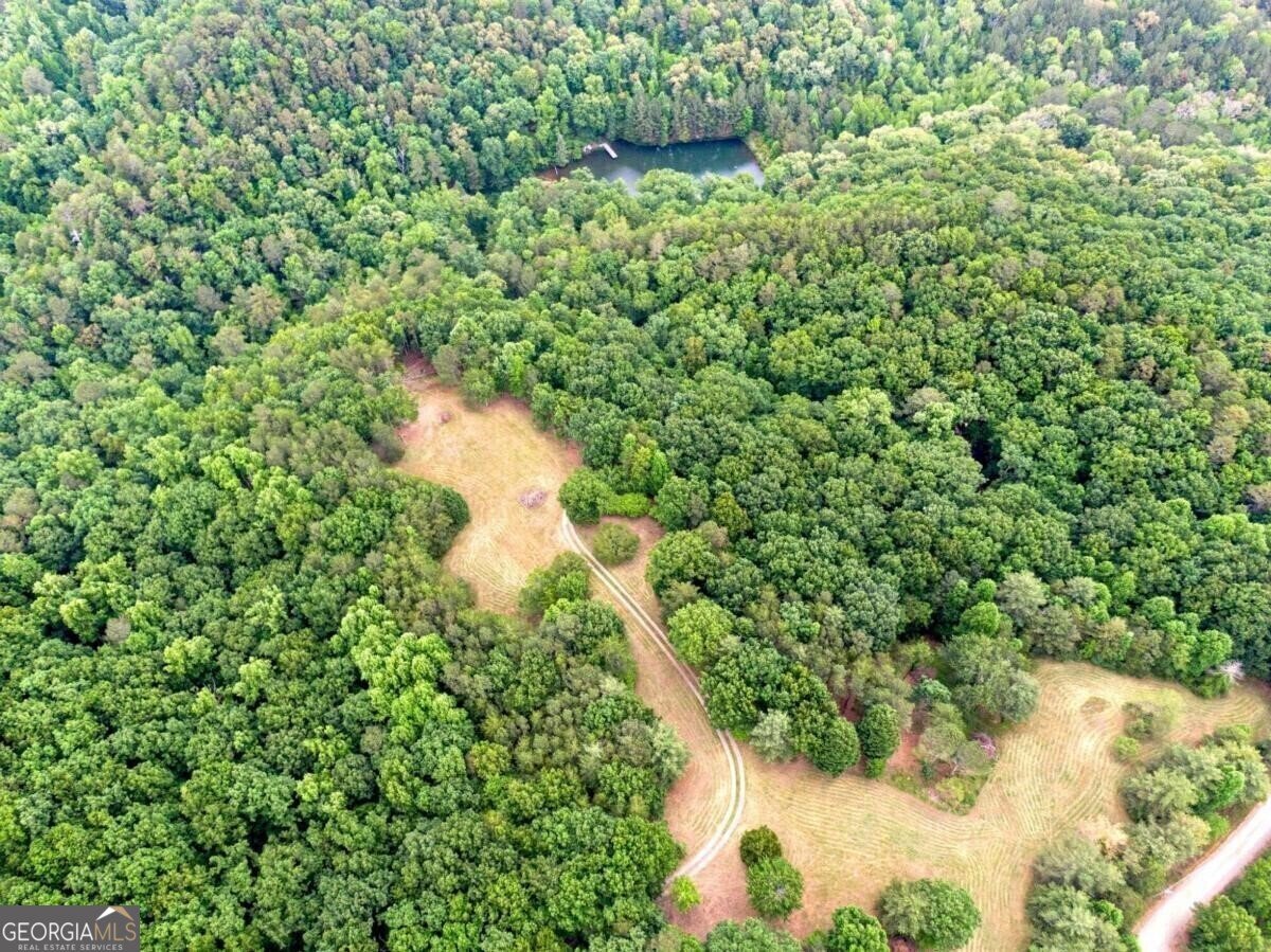 1402 Henderson Mountain Road Jasper - 63
