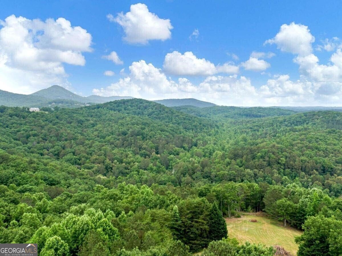 1402 Henderson Mountain Road Jasper - 64
