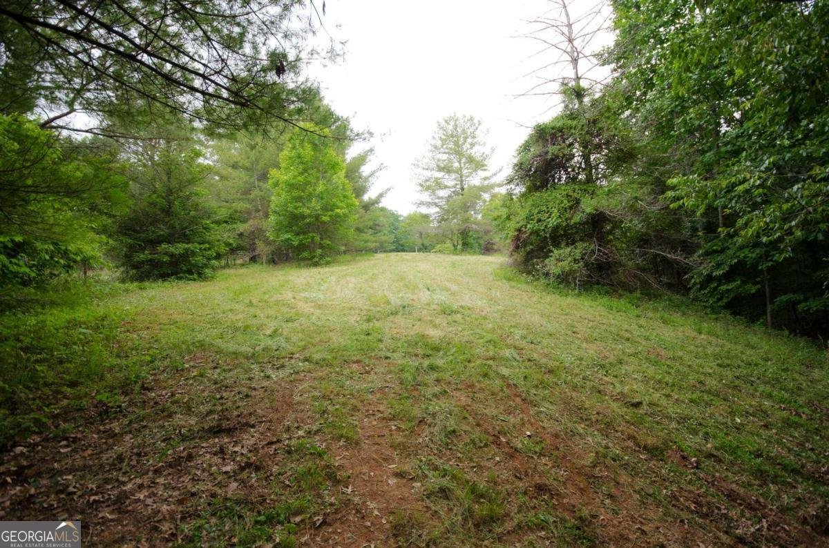 1402 Henderson Mountain Road Jasper - 66