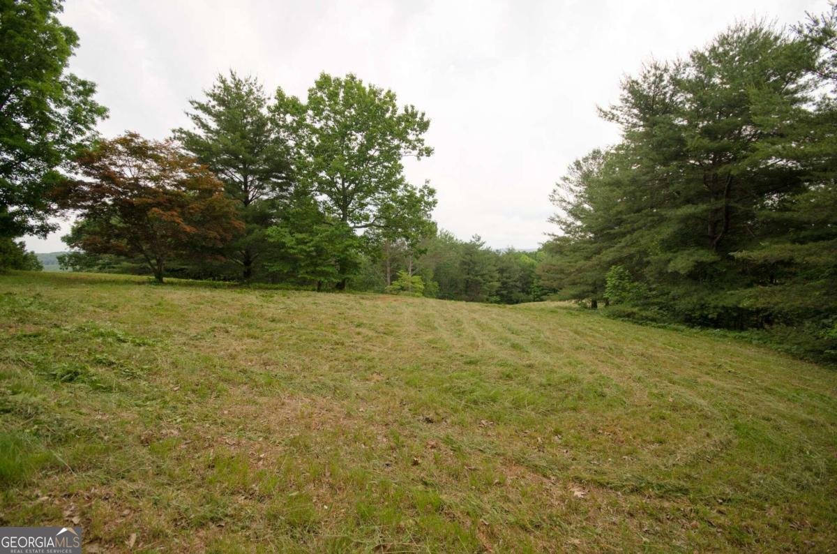 1402 Henderson Mountain Road Jasper - 73