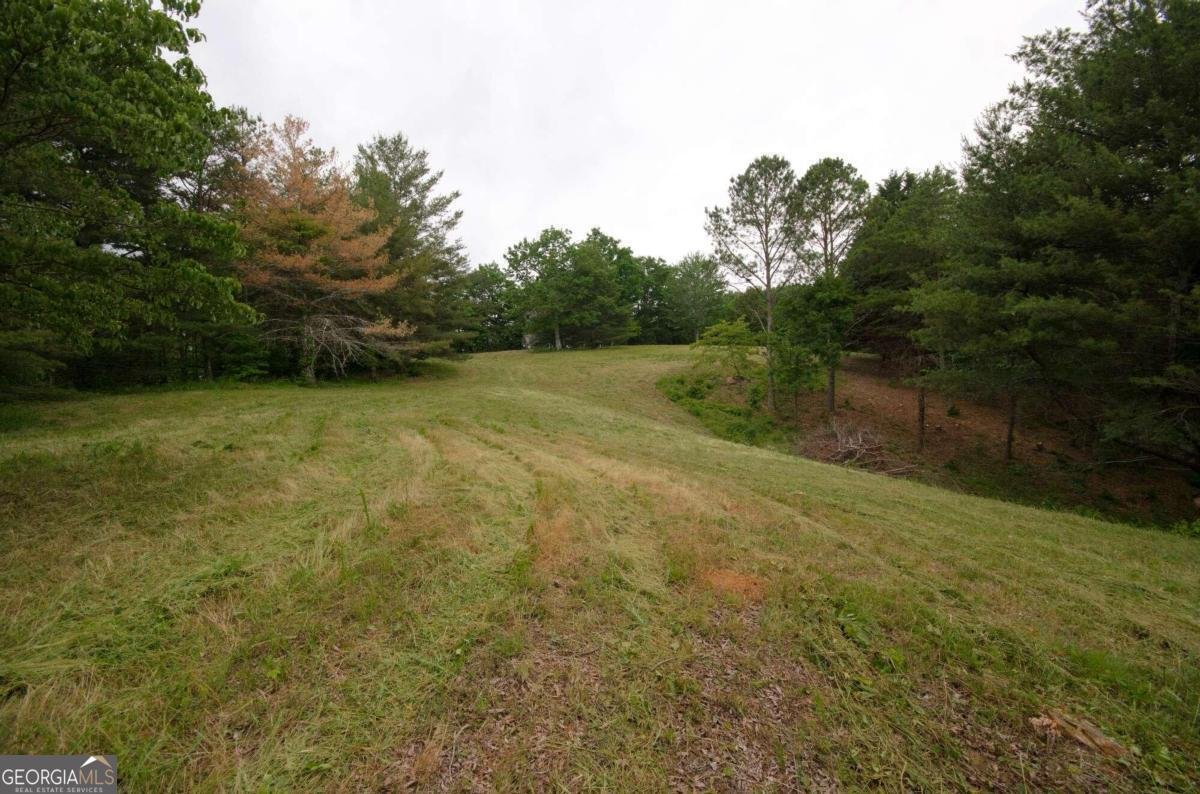 1402 Henderson Mountain Road Jasper - 74