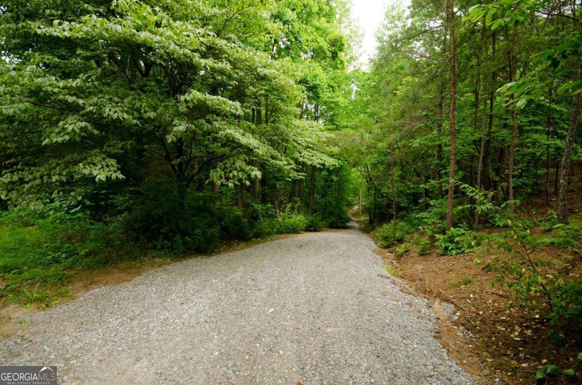 1402 Henderson Mountain Road Jasper - 75