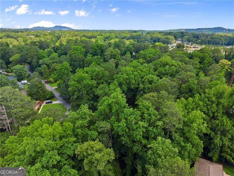 269 Terrydale Drive Marietta - 16