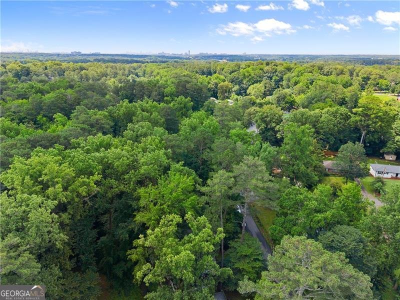269 Terrydale Drive Marietta - 19